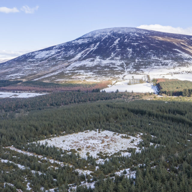 Lios agus Cloch Oghaim Bhuaile an Charraigín