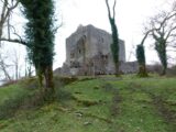 view of the castle ruins, with trees randomly placed in front.