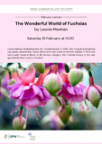 Pink fuchsias beginning to bloom displayed on a pink background poster advertising a lecture.