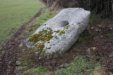 A large stone lying horizontally on the ground, with a hole in its centre and moss growing across the bottom