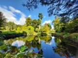 The pond vista at The national botanical gardens Kilmacurragh, a green space of trees reflect on a dark blue pond.