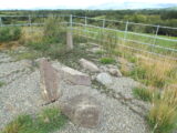 the small standing ogham stones within a gravel enclosure