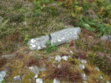 a horizontal ogham stone lying in the field