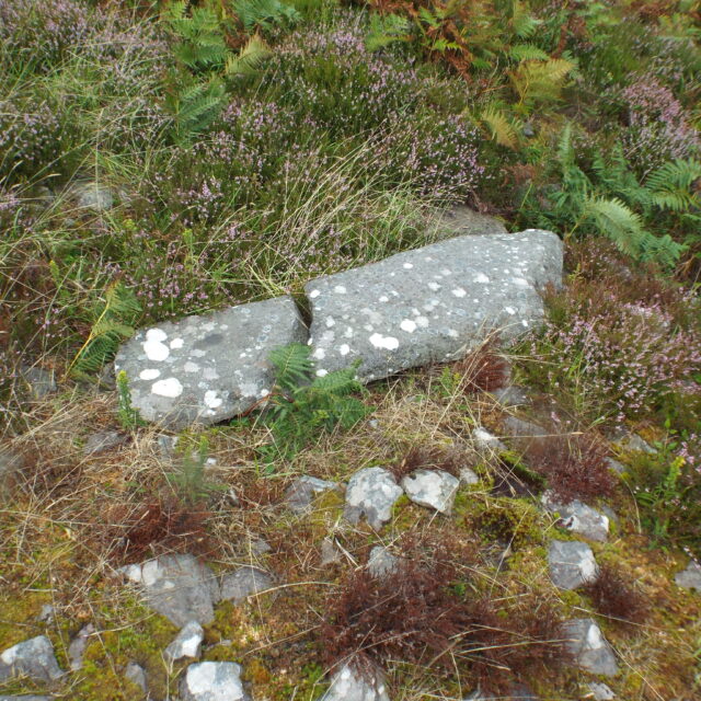 Cathair na gCat Ogham Stone – Ballywiheen
