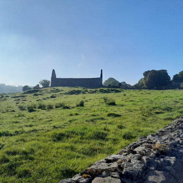 Fenagh Churches
