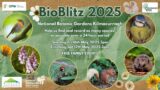 Poster for Bioblitz Event at NBG Kilmacurragh contains pictures of flora and fauna