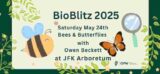 Poster for Bioblitz Biodiversity Event at JFK includes Bee and butterfly