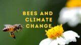 Poster for Bees and climate change event at NBG. Image portrays a bee flying towards a flower.