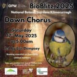 Poster for Dawn Chorus event at NBG Kilmacurragh shows a bird on a tree branch