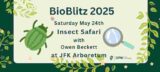 Poster related to Insect Safari Event in JFK Arboretum on Saturday 24 May