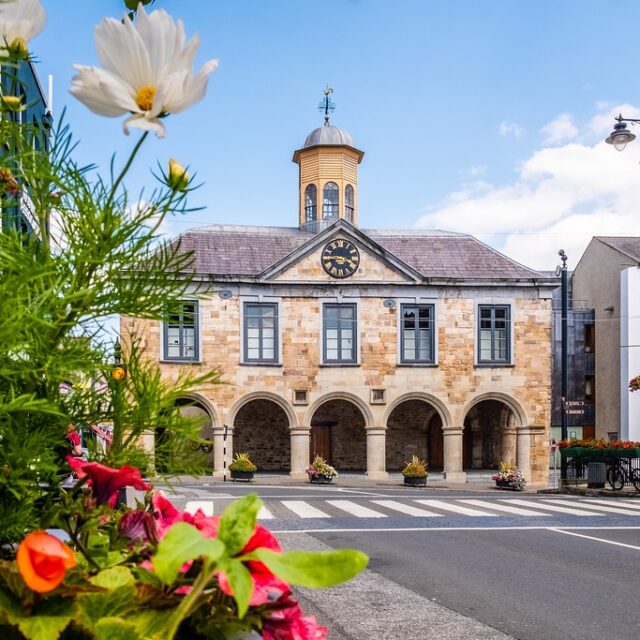 Clonmel Scouts Display & Demonstration