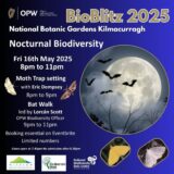 Poster for Bat Walk and Moth trapping event containing bats and butterflies