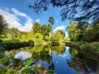 Image shows a pond vista at Kilmacurragh Botanic Gardens