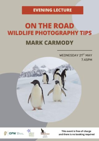 Poster for On the Road Wildlife Photography Tips