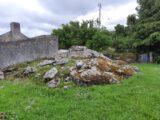 moss-covered stone containing prehistoric carvings