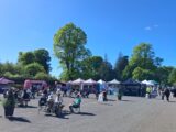 Outdoor Market at Farmleigh grounds. There are several stalls in view with many people seated and others leisurely browsing and chatting .