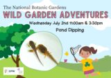 Animated poster for Wild Garden Adventures being held in National Botanic Gardens shows a tree , child and pond life .