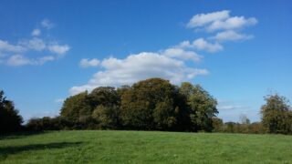 the ringfort among the trees