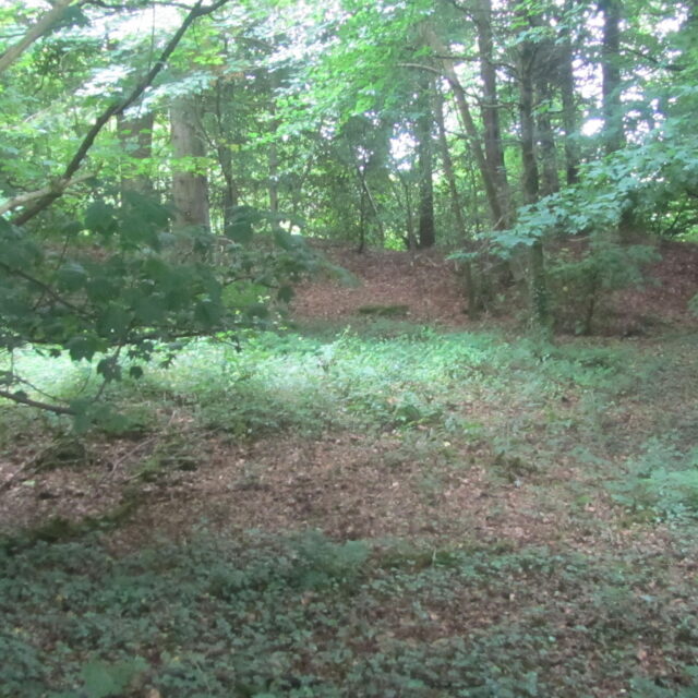 Aghaward Ringfort