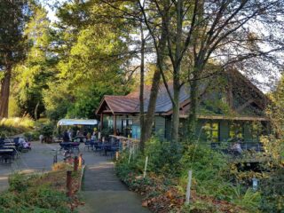 Boathouse Restaurant building surrounded by trees with al Fresco diners and several dining tables and chairs in sight also.
