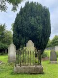 A headstone in a cemetery. A large tree stands bhind it.