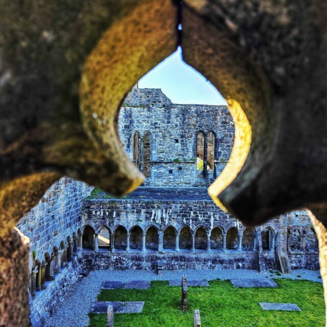 Cloisters Art in the abbey