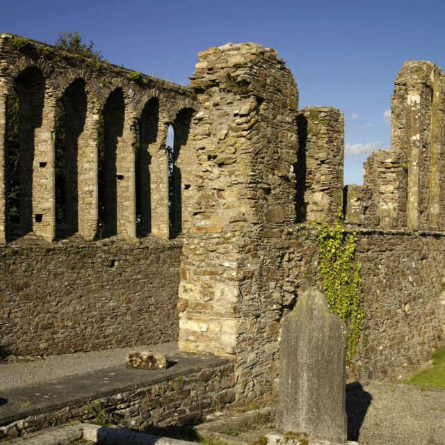 Ferns Church / Cathedral / Crosses / Abbey