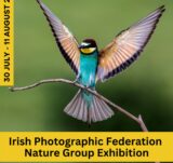 Poster with a bird and text