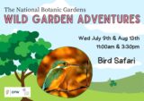 Graphic for Bird Safari Event which includes a tree, abird on a branch and text details for the event.