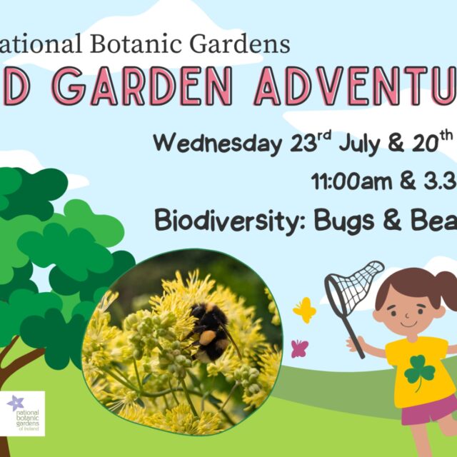 Poster which includes text details for event , animated image of a tree, a girl chasing butterflies with a net and a super imposed image of a bee sitting on a flower.