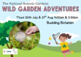 Poster with text details of Wild Garden budding botanist event ,animated image of a tree, a girl chasing butterflies with her net and a super imposed image of a magnifying glass