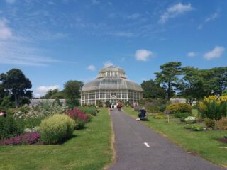 Blue skies above a greenhouse.