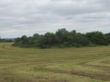 view of the ringfort with trees and bushes growing from it.