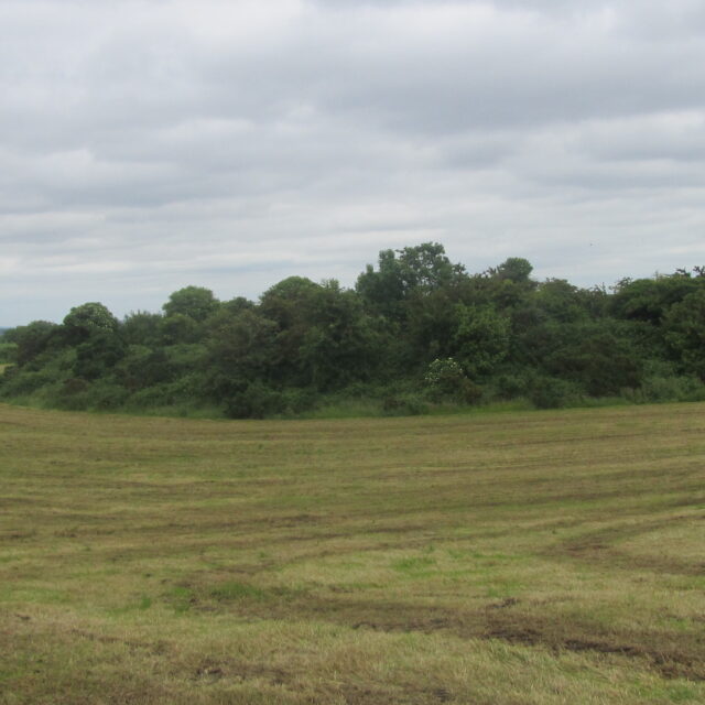 Sonnagh Ringfort