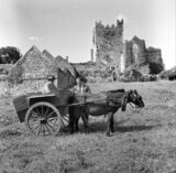 A horse and trap with a passenger in the trap and a man stands alongside in front of Tintern Abbey