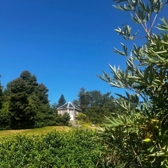 History of the Walled Gardens in Annes Grove