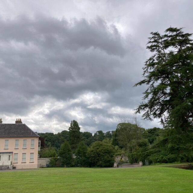 Tree Walk in Annes Grove Gardens by Horticulturist Colm O’Shea