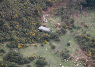 aerial view of the tomb within a field