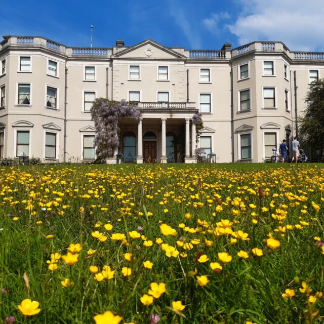 The Story of Three Guinness’ – an illustrated talk