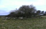 a mound of stones covered with overgrown bushes