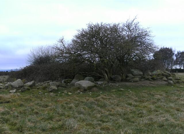 Baunogenasraid Burial Mound