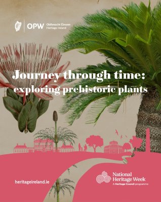 Prehistoric Plants – A journey through time