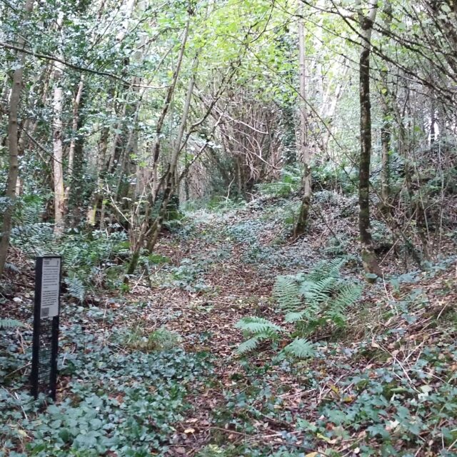 Lisnagowan Ringfort