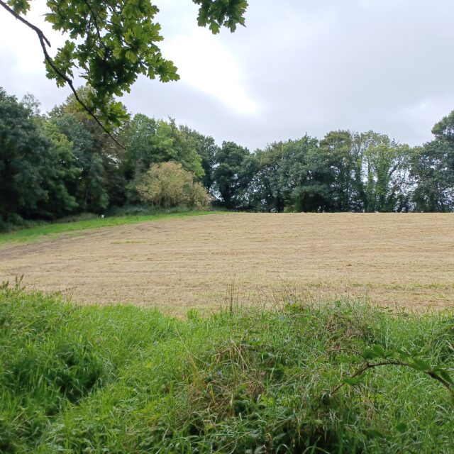 Errigal Ringfort