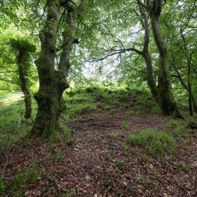 Carns Passage Tomb