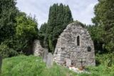 the ruins of the church surrounded by evergreen trees