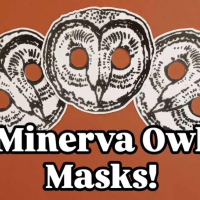 Minerva Owl Masks