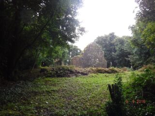 the church ruins shrouded by trees