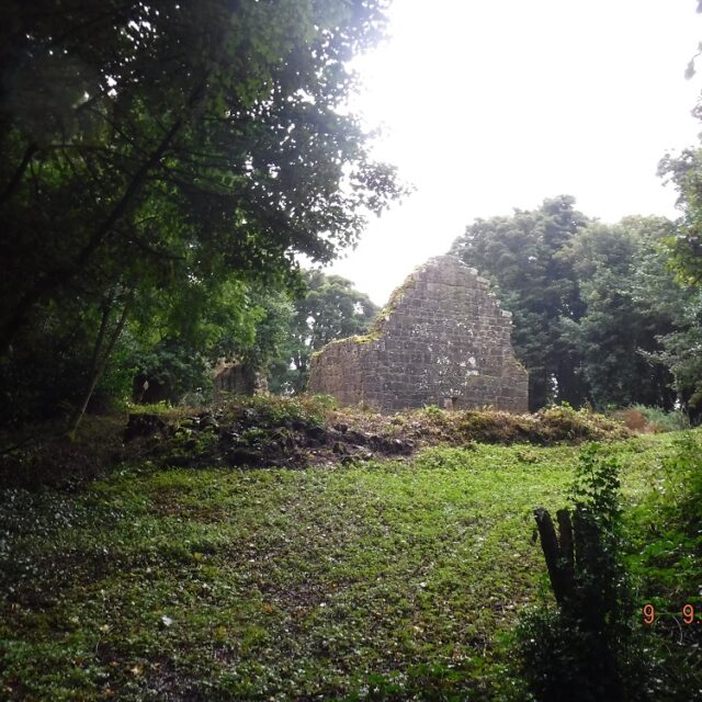 Inchmacnerin Augustinian Priory