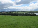 view of a green field, with small trees blocking the view of the nearby water